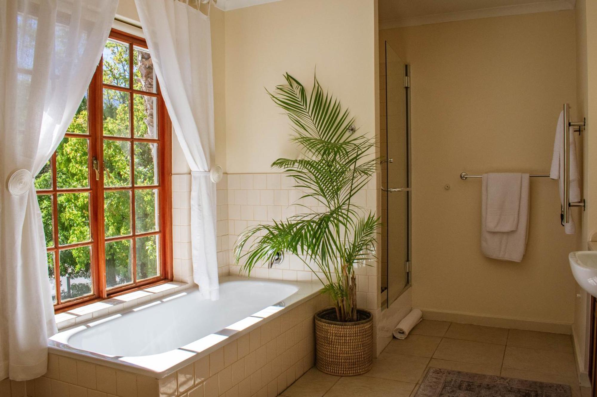 5 Seasons Guest House Стелленбос Екстер'єр фото