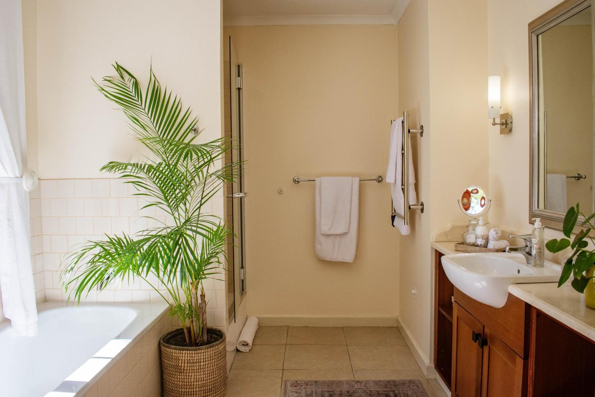 5 Seasons Guest House Стелленбос Екстер'єр фото