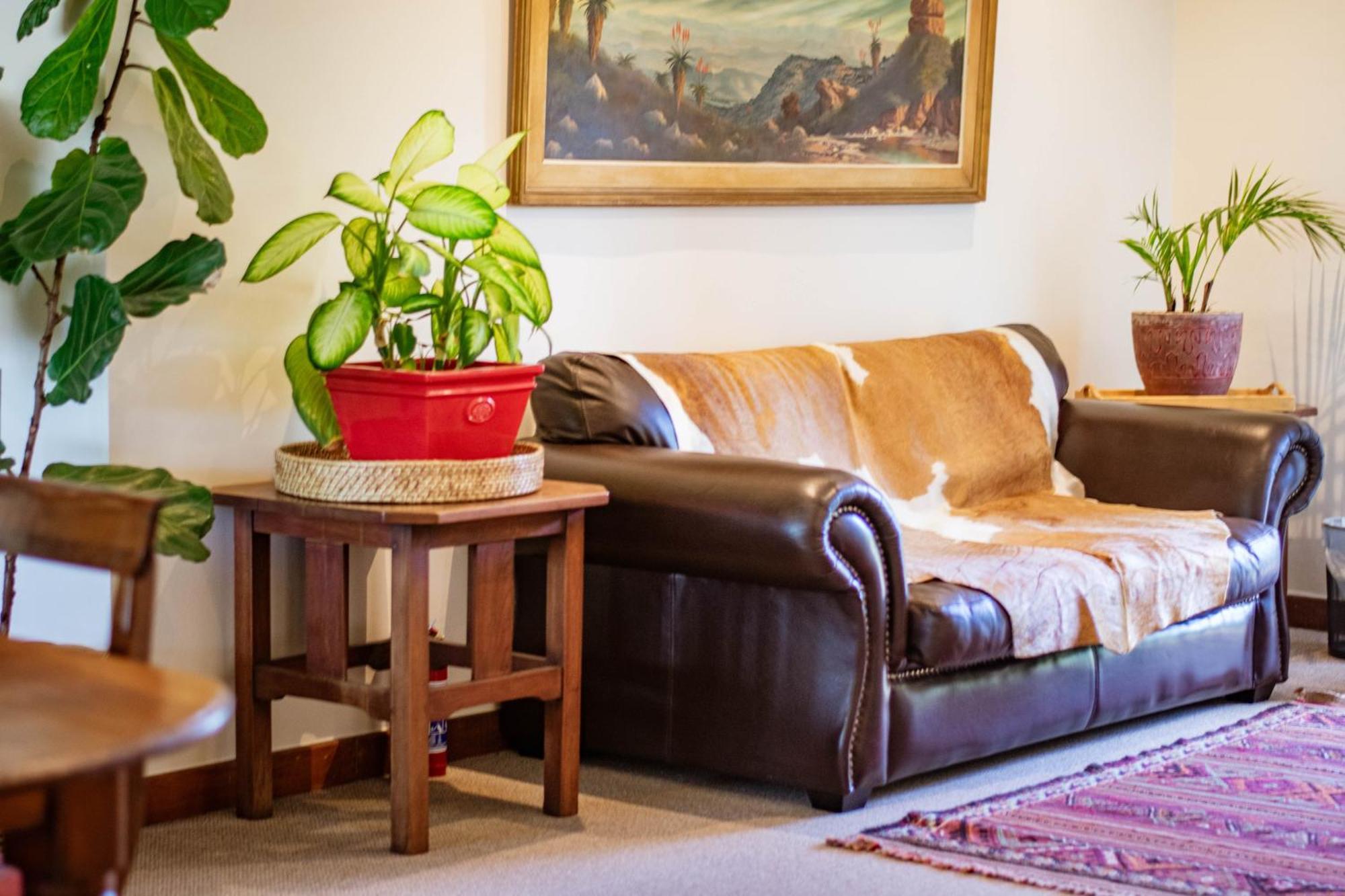 5 Seasons Guest House Стелленбос Екстер'єр фото